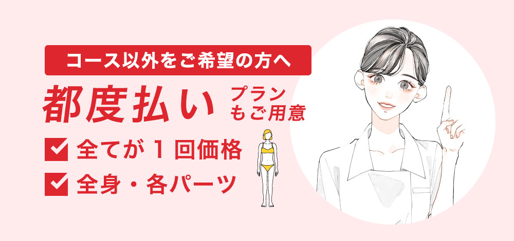 都度払いの1回プラン